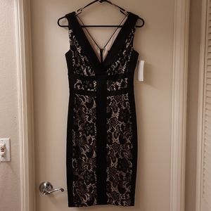 NWT, JAX Black Label Satin and Lace Dress